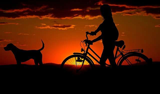 Woman and Dog with Bicycle