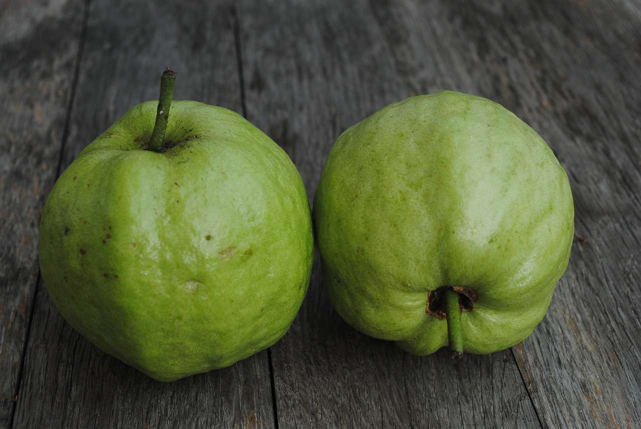 Guava